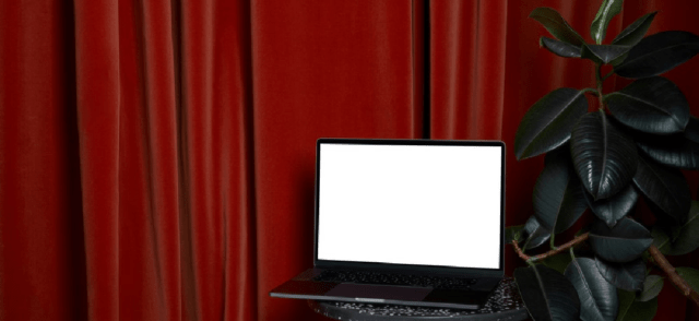 Laptop in front of a red curtain next to a plant