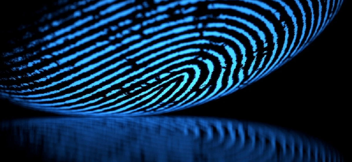 A fingerprint