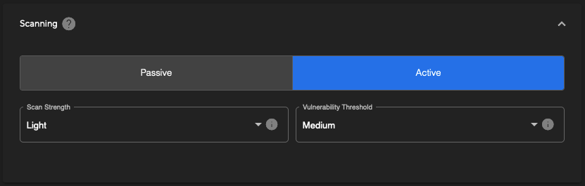 web application vulnerability scan type