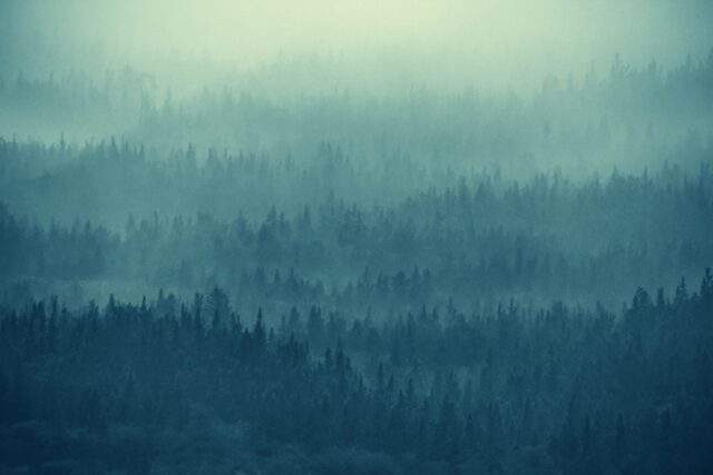 Fog-covered forest representing the hidden nature of AI-accelerated cyber threats and expanding digital attack surfaces
