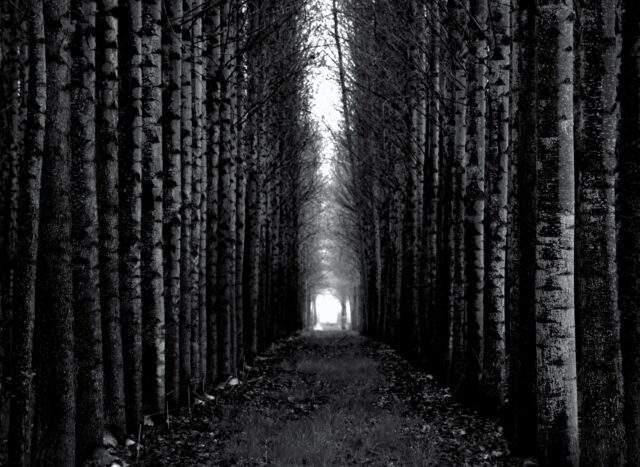 Classic vs Passthrough path to choose