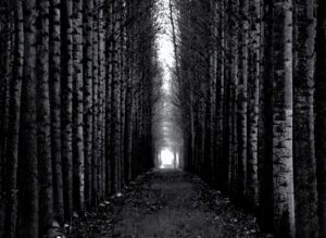 Classic vs Passthrough path to choose