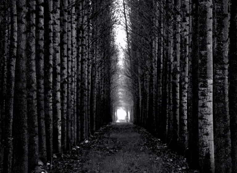 Classic vs Passthrough path to choose