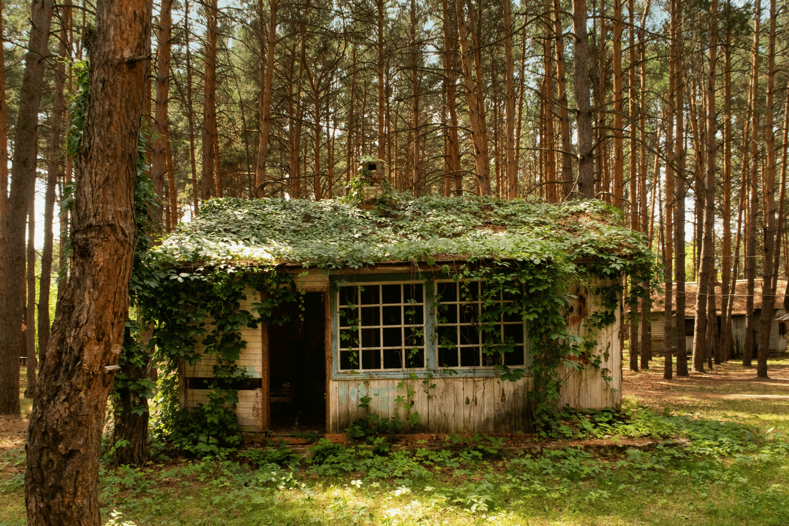 Wooden garden shed where CovertSwarm founder Anders Reeves conceived the idea for continuous penetration testing during COVID-19 lockdown