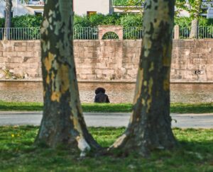 A solitary figure sits by a canal wall, viewed unnoticed from a hidden vantage point between two tree trunks, evoking an assumed breach attacker moving undetected.
