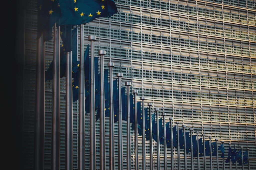 EU flags in line